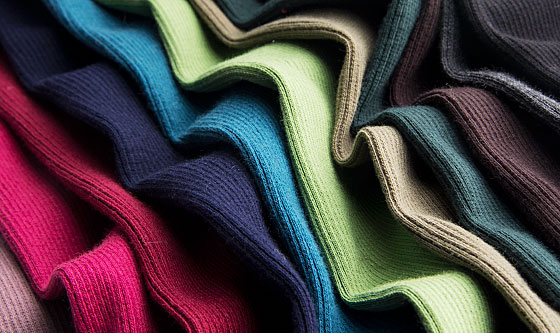 Jerseys von der schwäb. Alb Jerseys von der schwäb. Alb