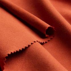 Bio-Jersey F05 terra, Single-Jersey Stoff, terracotta, Baumw...