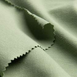 Bio-Jersey F08 aloe, Single-Jersey Stoff, gr�n, Baumwolle, E...